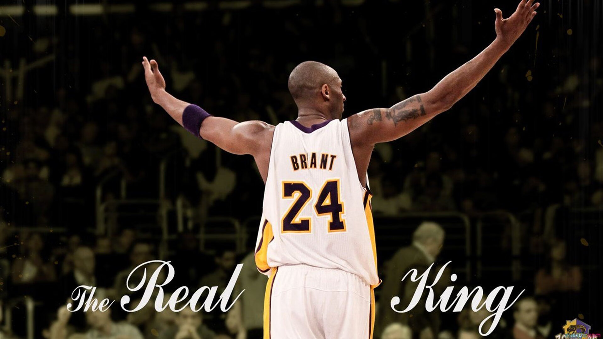 森林狼对阵篮网，文班亚马用实力证明自己